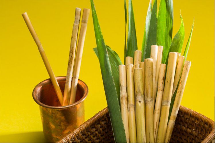 green-greed-handmade-bamboo-straw-261