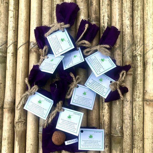 sow-and-grow-10-plantable-seed-balls-with-brinjal-seeds-beej-balls-821
