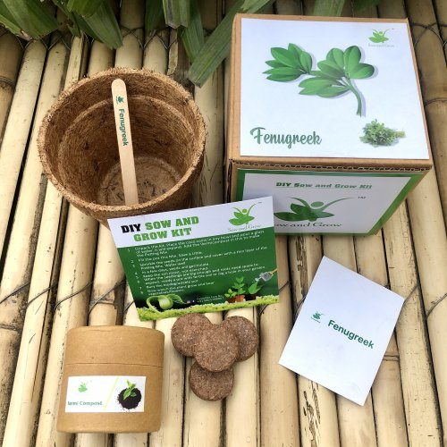 sow-and-grow-diy-gardening-kit-of-methifenugreek-grow-it-yourself-vegetable-kit-841