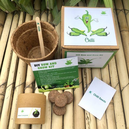 sow-and-grow-diy-gardening-kit-of-chilli-grow-it-yourself-vegetable-kit-848