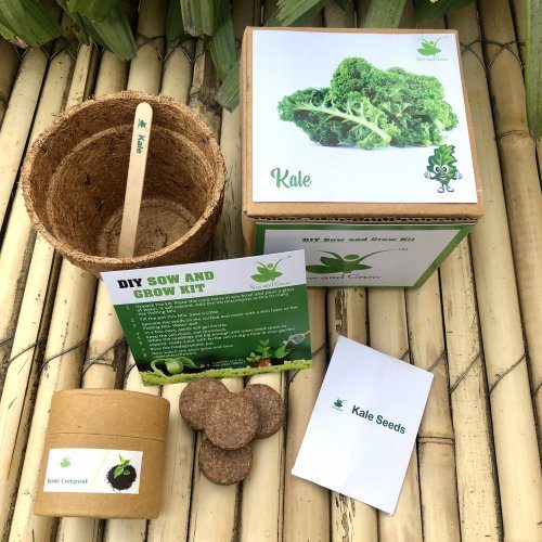 sow-and-grow-diy-gardening-kit-of-kale-grow-it-yourself-vegetable-kit-861