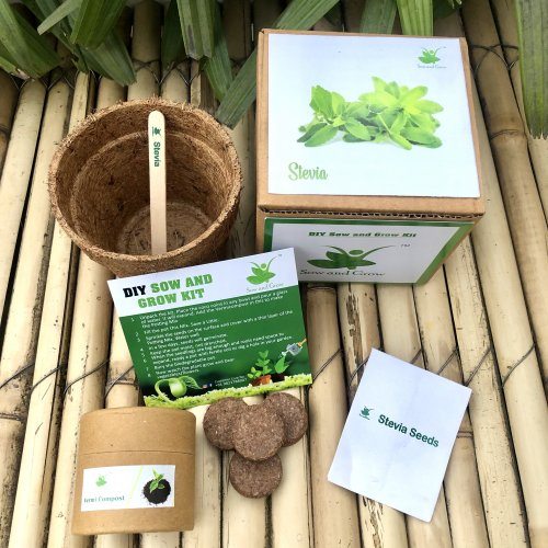 sow-and-grow-diy-gardening-kit-of-stevia-grow-it-yourself-medicinal-plant-kit-865
