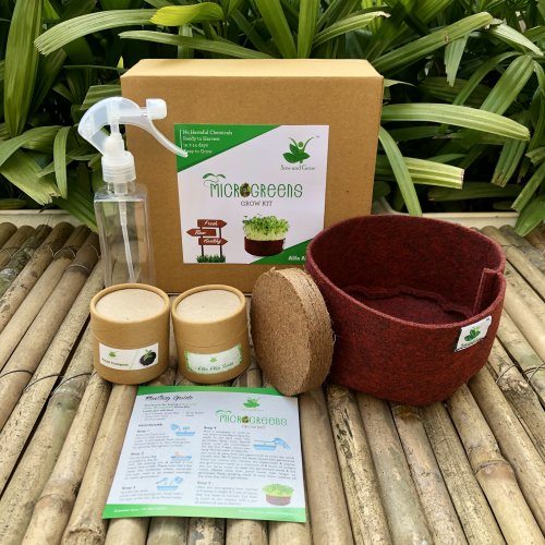 sow-and-grow-microgreens-grow-kit-alfa-alfa-35-grams-easy-to-use-kit-for-beginner-gardeners-970