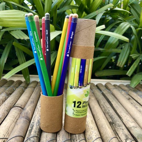 sow-and-grow-12-plantable-seed-pencils-in-a-re-usable-pencil-box-for-writing-drawing-sketching-1011