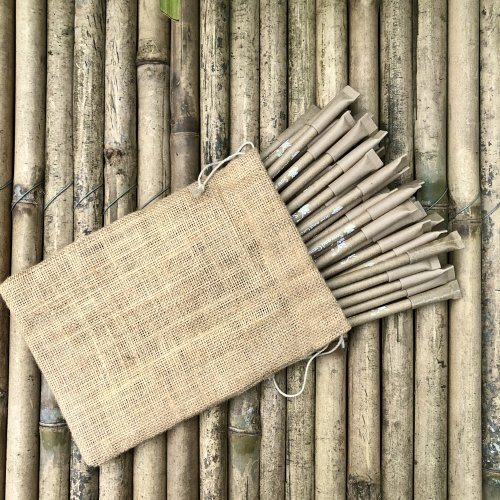 sow-and-grow-box-of-50-plantable-seed-pens-eco-friendly-pack-for-offices-jute-potli-bulk-packaging-grow-plants-from-pens-100-bio-degradable-pen-body-50-1022