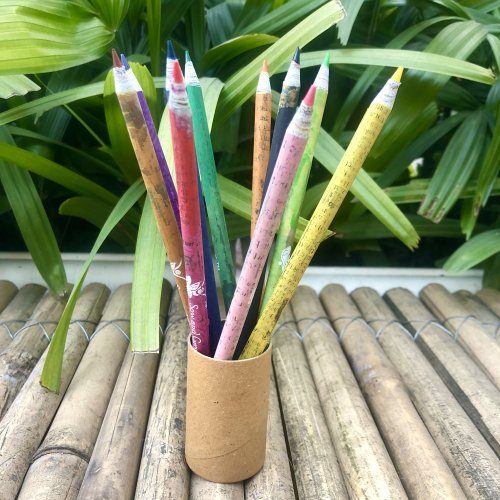 sow-and-grow-brown-box-collection-10-seed-colour-pencils-1-seed-diary-1-seed-ball-1031