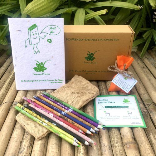sow-and-grow-brown-box-collection-10-seed-colour-pencils-1-seed-diary-1-seed-ball-1031