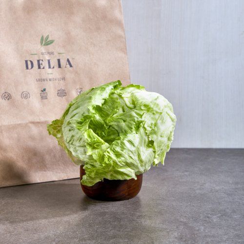 delia-farm-fresh-lettuce-1164